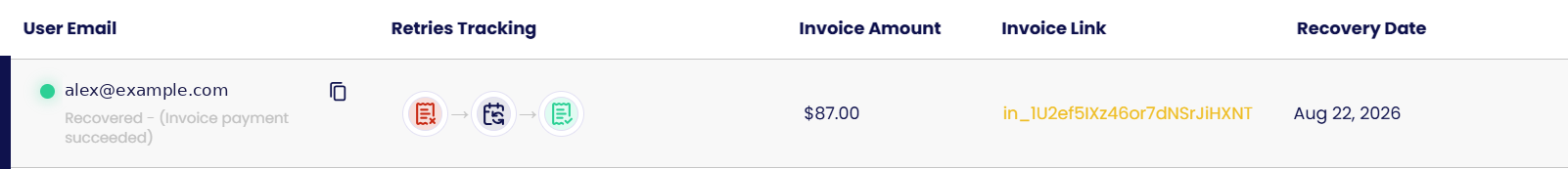 Retries tracking: the retry attempts and outcome per invoice.